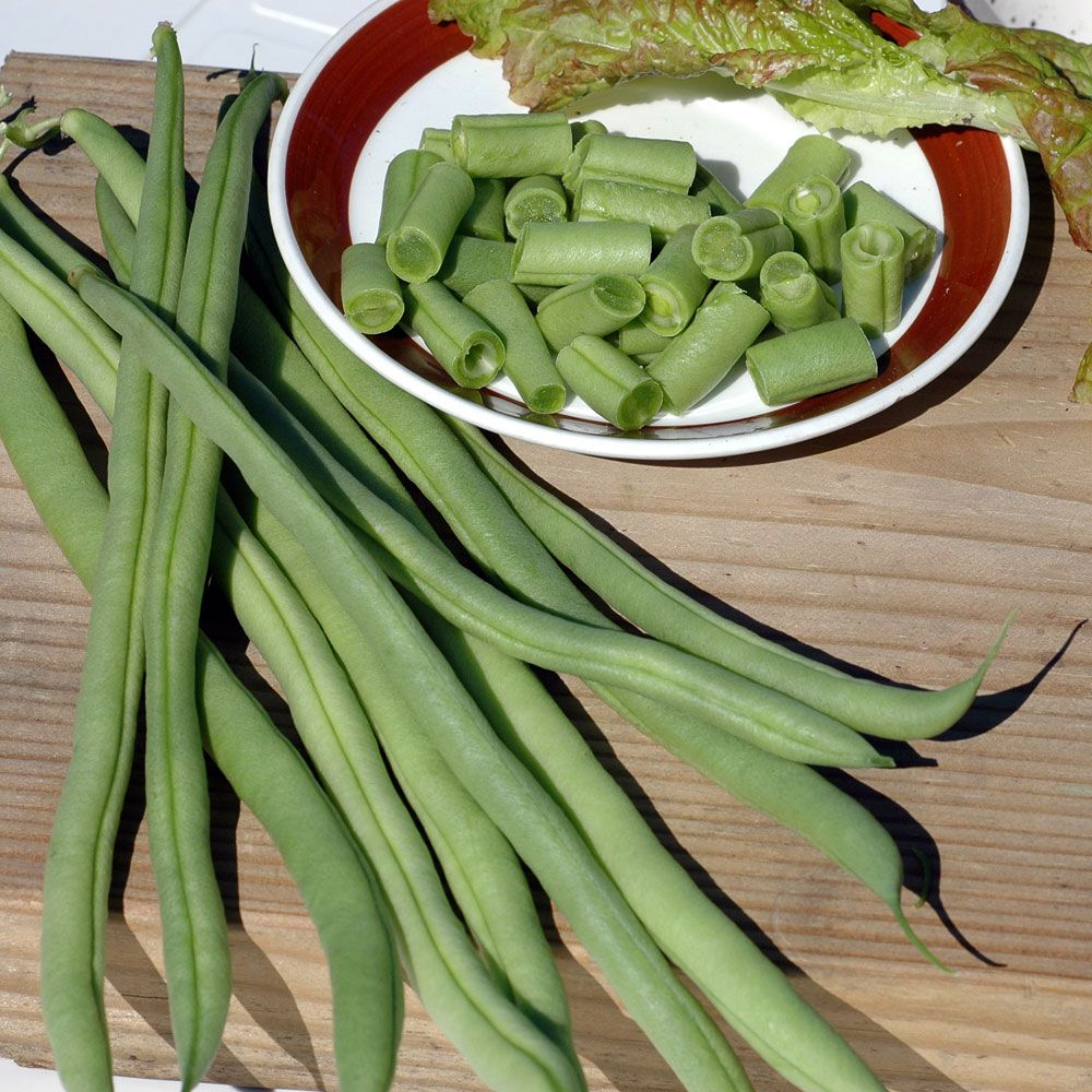 Stangenbohne 'Cobra' in der Gruppe Samen / Gemüse bei Impecta Fröhandel (9065)