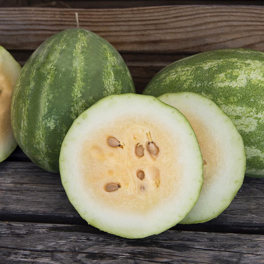 Wassermelone 'Orangeglo'