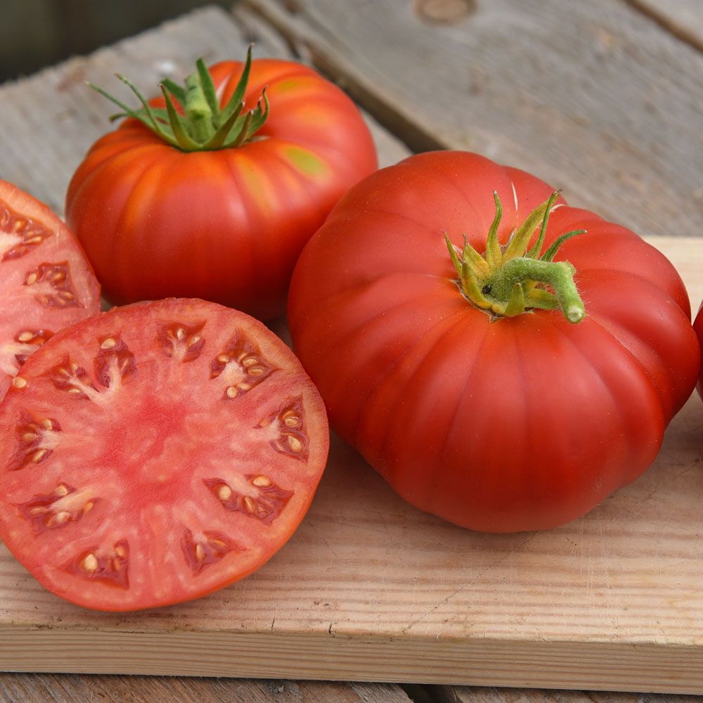 Fleischtomate 'Buffalosteak'