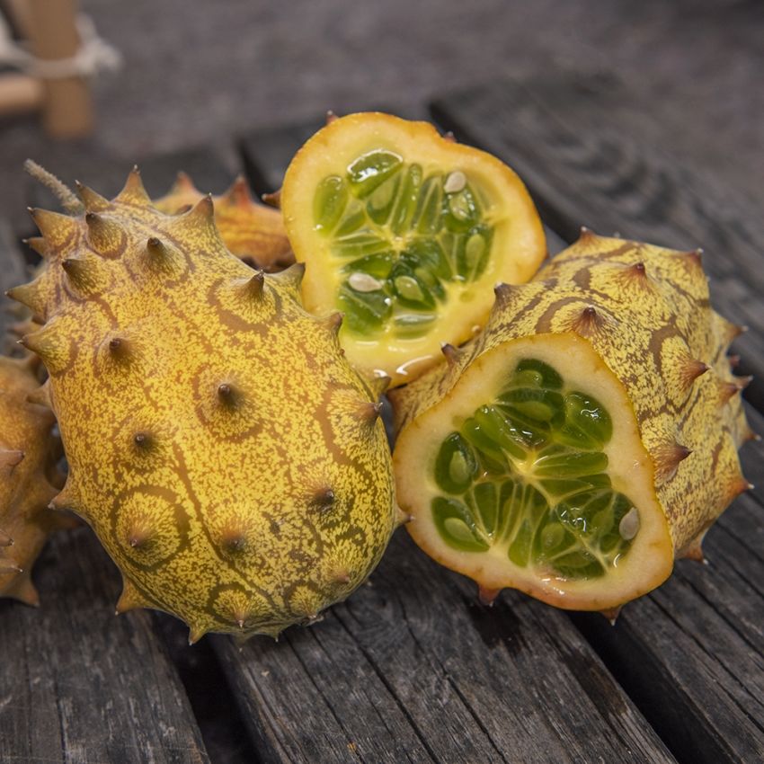 Horngurke 'Kiwano'