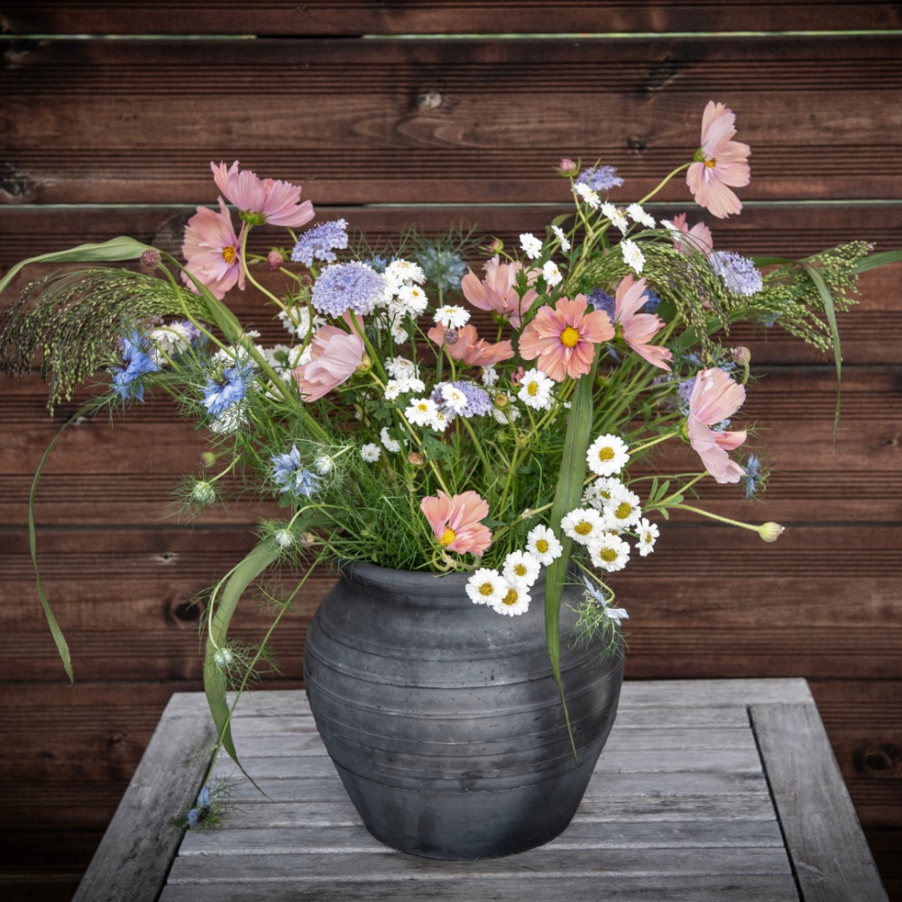 Saatgutpaket Schnittblumen 'Rosa und Blau'