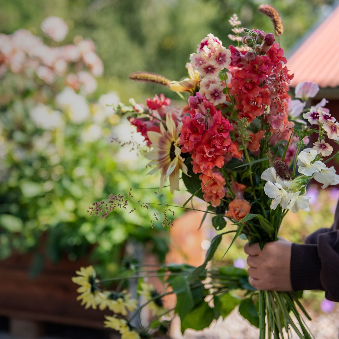 Einjährige Blumen