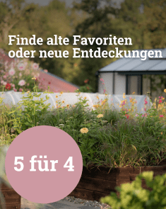 Finde alte Favoriten - 5 für 4