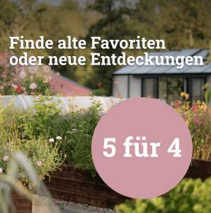 Finde alte Favoriten - 5 für 4