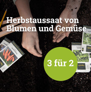 Herbstaussaat von Blumen und Gemüse - 3 für 2